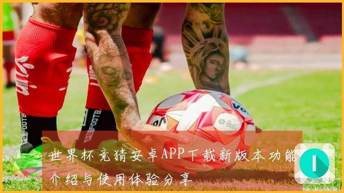 世界杯竞猜安卓APP下载新版本功能介绍与使用体验分享