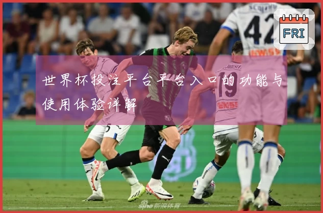 世界杯投注平台平台入口的功能与使用体验详解