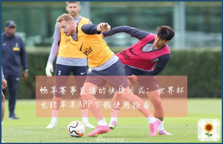 畅享赛事直播的快捷方式：世界杯竞猜苹果APP下载使用指南