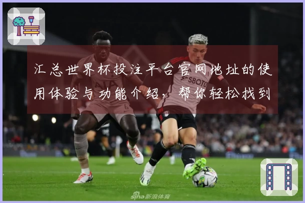 汇总世界杯投注平台官网地址的使用体验与功能介绍，帮你轻松找到最佳入口